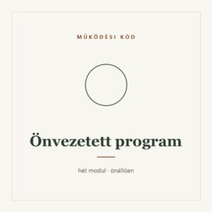 Önvezetett program